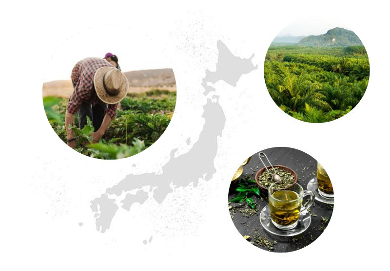 Kratom Queen Story